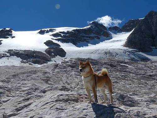 米兰体育APP-倒三角布局带来控场优势，倒三角战术解析