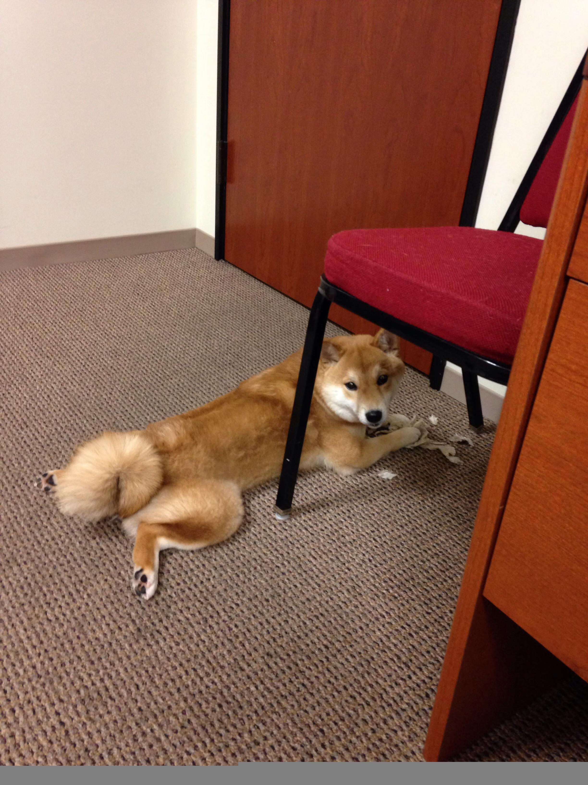 基层足球场地建设滞后制约发展,足球场地建设方案