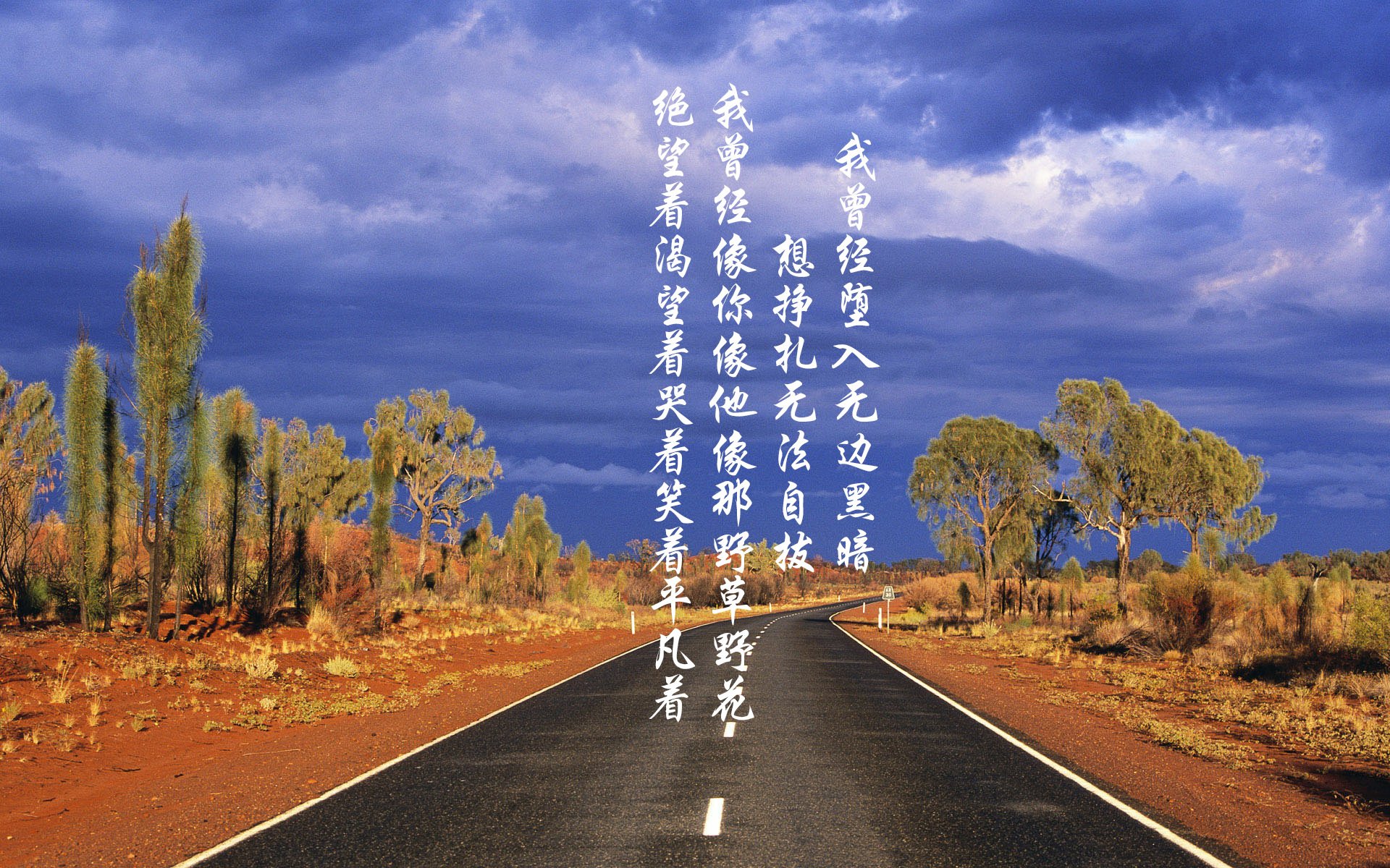 德国施瓦茨成焦点 高强度输出备受肯定,施瓦茨公司