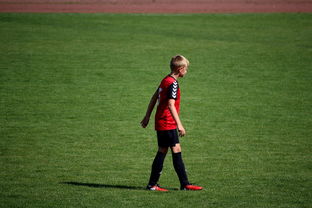 米兰体育官网-未来足球场馆将融合智能照明和环境监测系统，绿色科技引领行业