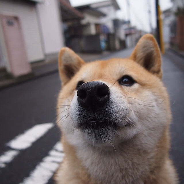 米兰体育官网-法甲年轻力量：未来巨星展现锋芒！，法甲年轻中场