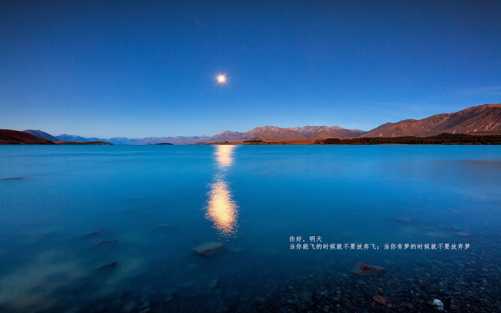 法甲门将赛季表现排名,法甲新赛季